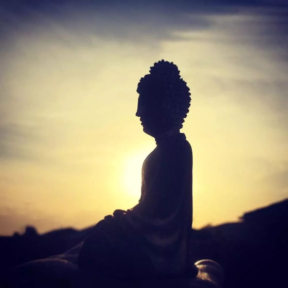 顶果钦哲法王：任何不能对治情绪的就不是佛法