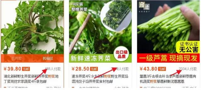 非常小众的项目—网上卖野菜 这个农村小伙半年赚了30万+