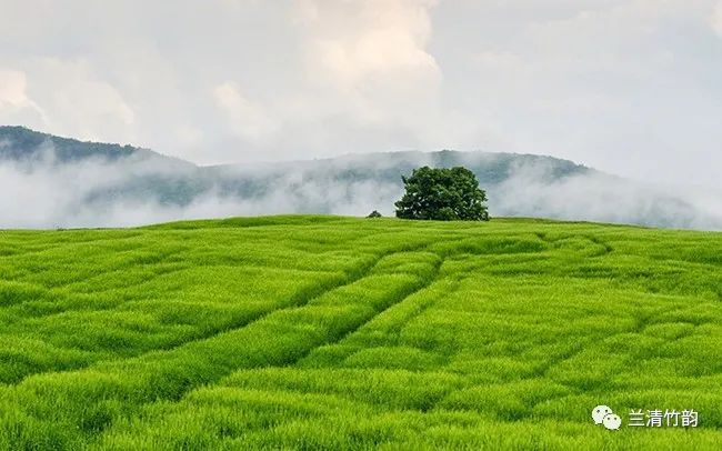 鲁迅励志名言100句