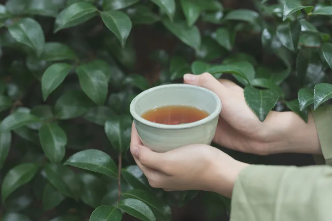 当你格局不够时，世上的破事最多