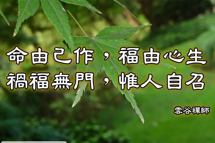 【灵魂揭密】生命、财富、福报之间的真相！