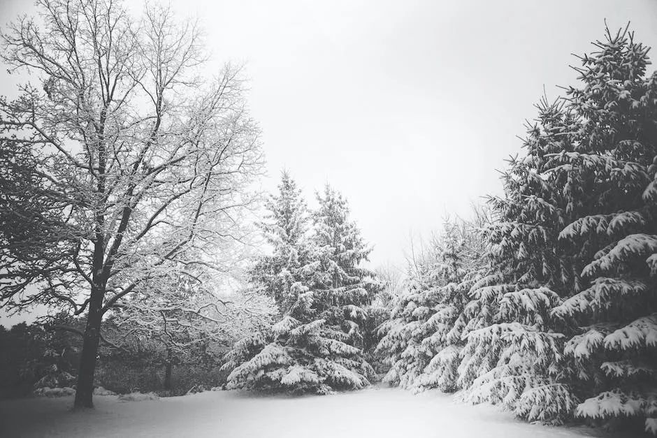 大雪养生：重三暖，防三病！