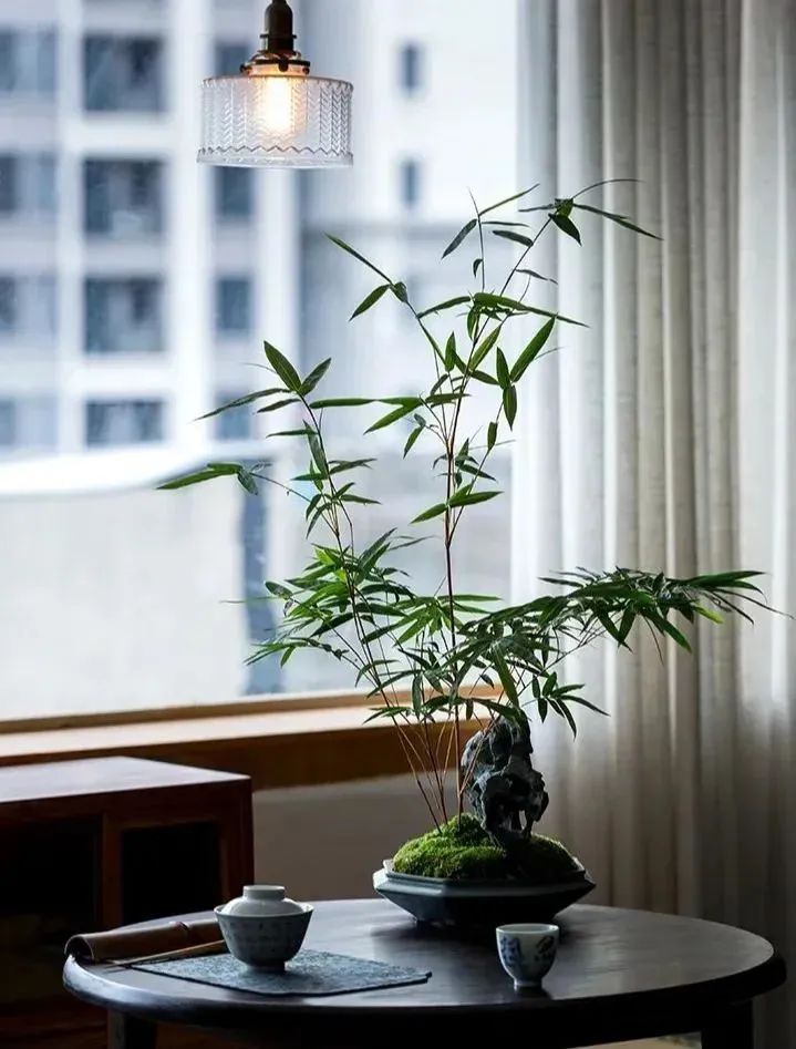 生活不是流浪，该心有所安