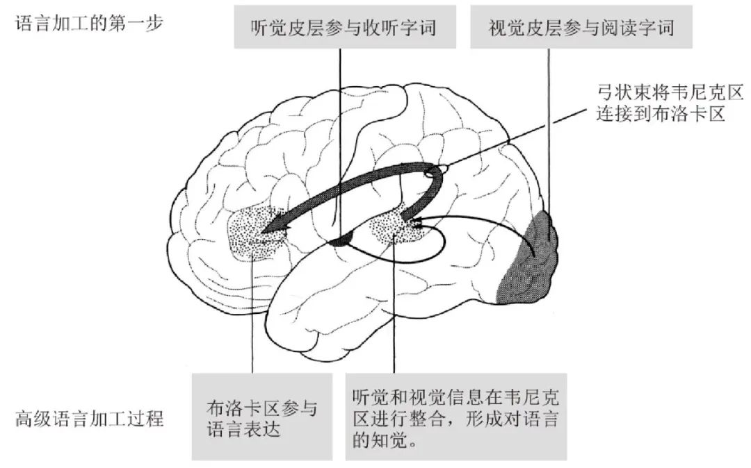 人类不过是一个触发器，金钱的获取也是一个触发游戏！