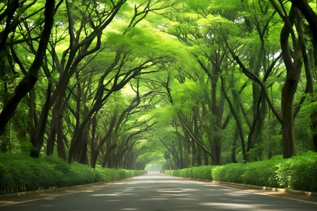 人生旅程，何以为念