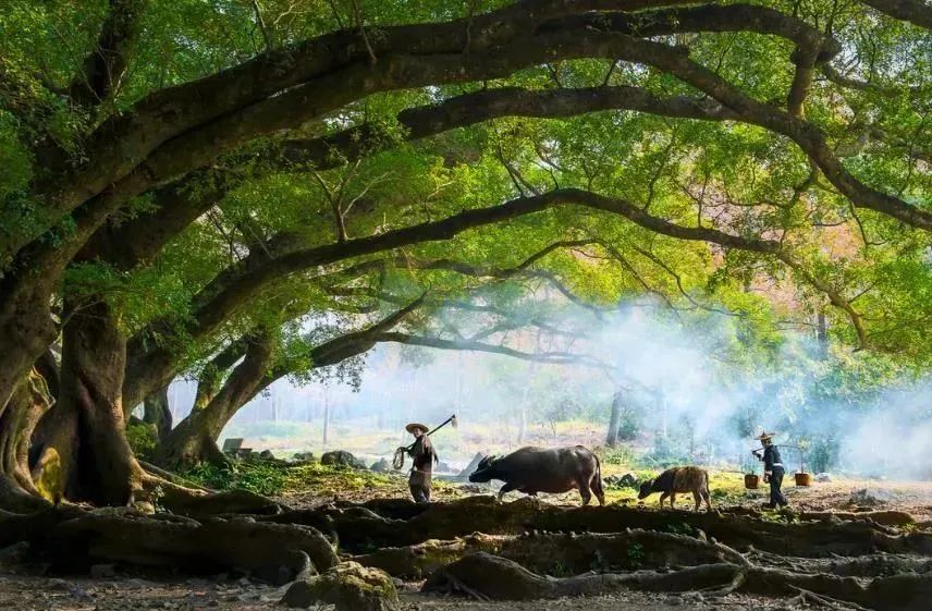 别人找你借钱，你急着问“借多少”就输了，聪明人这样说